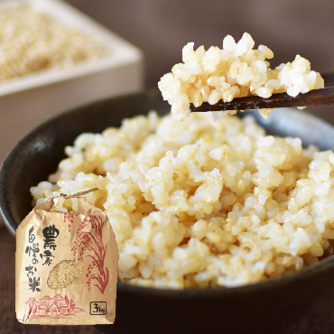高柳さんのコシヒカリ玄米