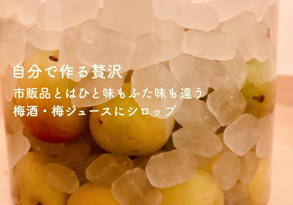 ナンコウバイ