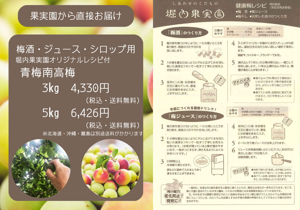 ナンコウバイ