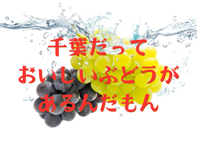 ブドウ